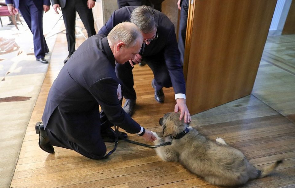 Путин падна на колена пред него: Паша се пресели во Кремљ!