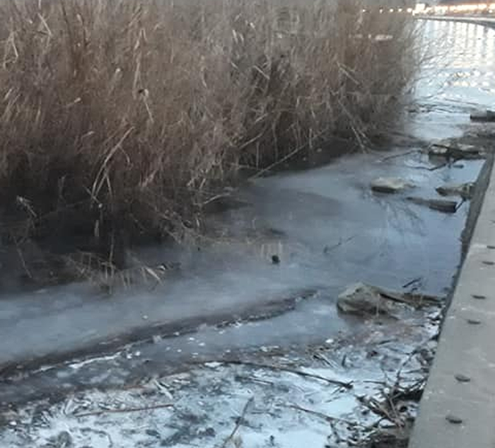 Во Охрид -12 степени: Замрзна водата во езерото