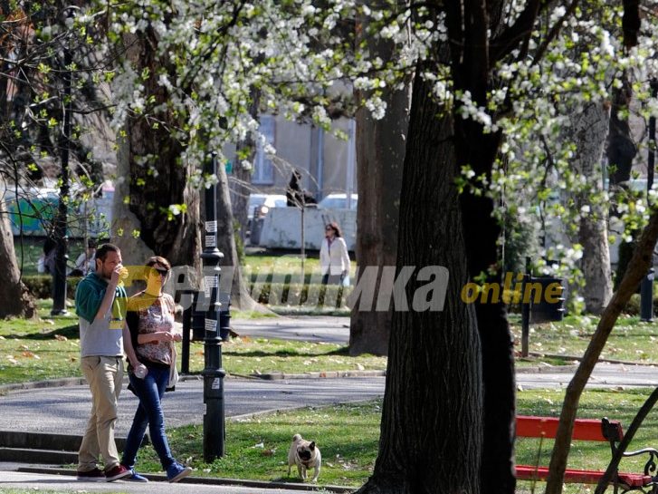 Двајца скопјани нападнале Косовци во Градски парк