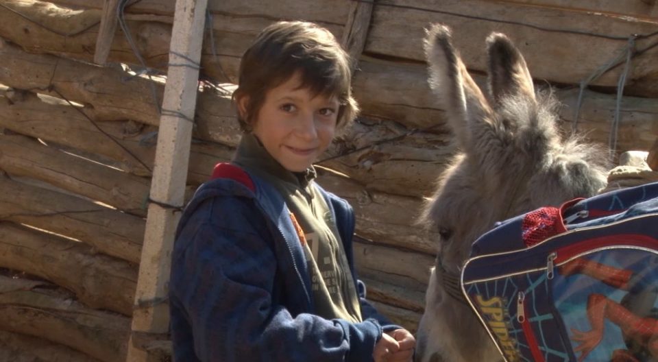 Бесплатни прегледи за малиот Милош уште в понеделник