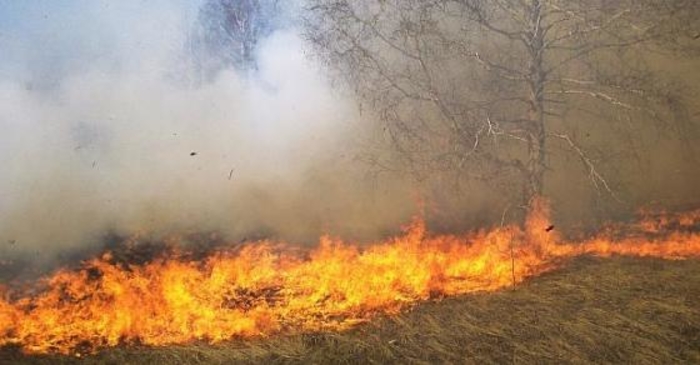 Пожар во Крушево, интервенираат авиони од ДЗС