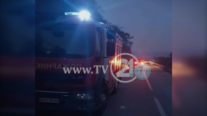 Нов пожар во Преспа