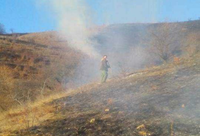 Избувна голем шумски пожар во близина на ветерниците кај Богданци