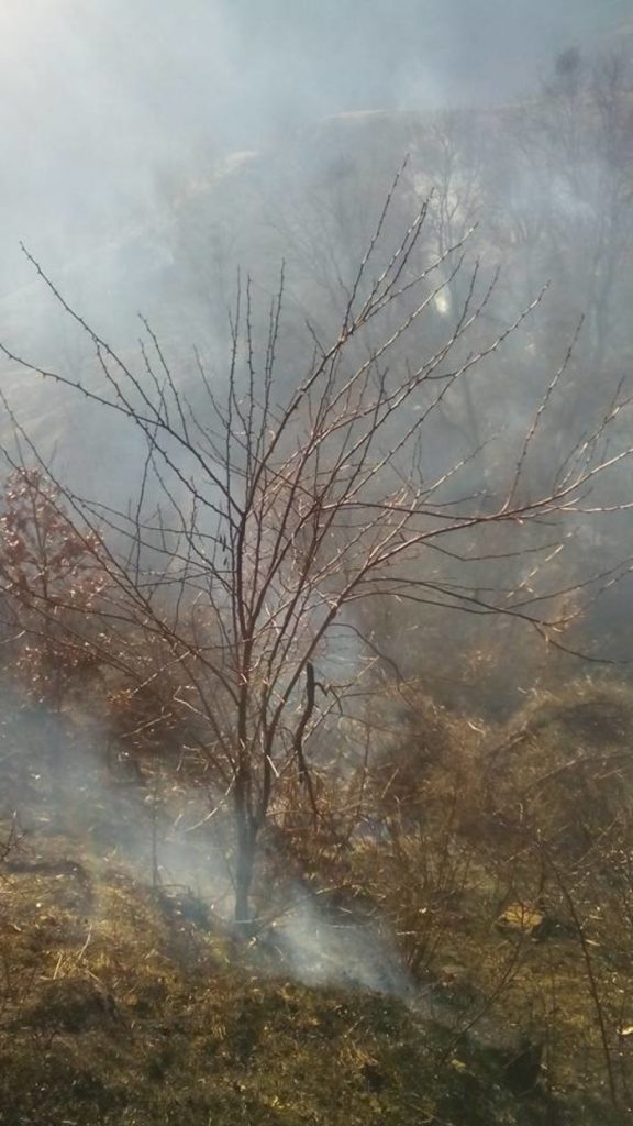 Се гасеа пожари во каменичко и беровско