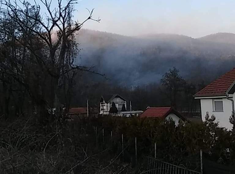 Пожар во Зајас, се гасне со канадери