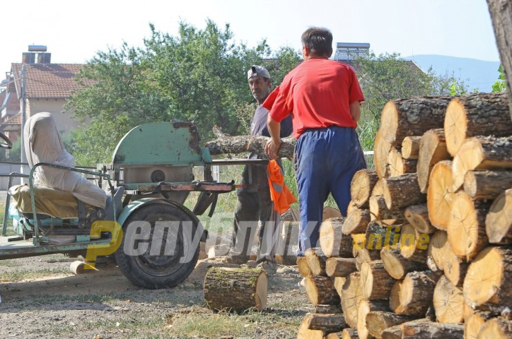 Во гостиварско почна сезоната на шверц на дрва