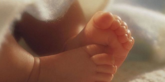 Обвинителство: Нема докази за тргување со бебиња за посвојување