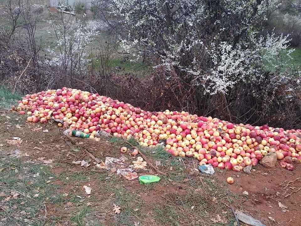 Тажна слика од Преспа: Јаболката завршија покрај патот