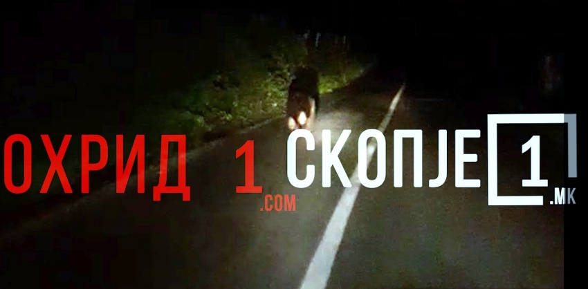 Мечка трча низ струшкото село Радожда