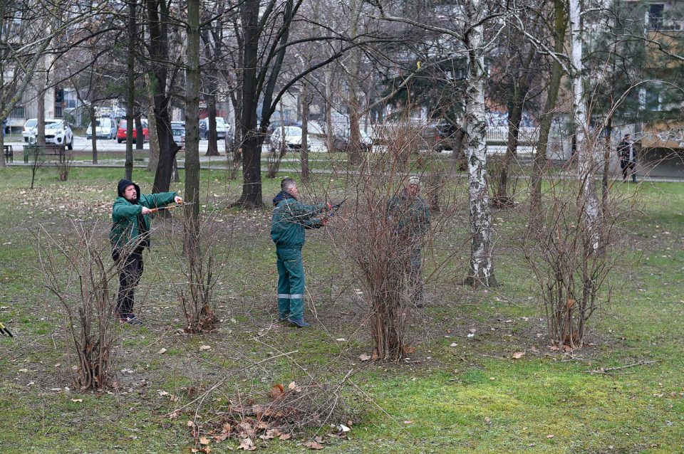 Четири вработени во „Паркови и зеленило“ нападнале свој колега