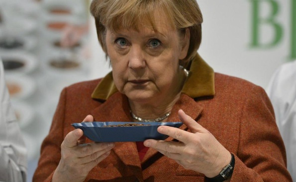 Меркел: По завршување на мандатот, ќе се наспијам и ќе шетам во природа