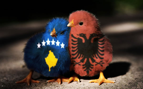 Албанија и Косово со заеднички дипломатски претставништва
