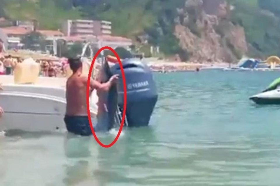Паника на познатата плажа во Будва: Капачите се разбегаа кога во морето се појави ова