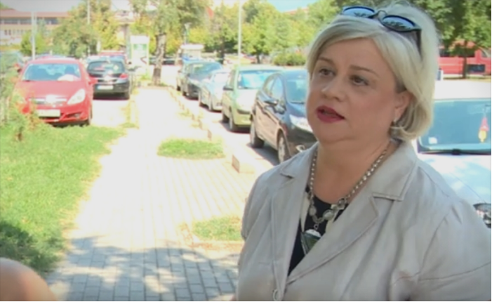 Котлар: Заев да се извини што обвини дека крадеме историја