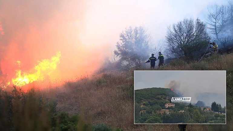 Шумски пожари во централна Грција