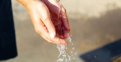 Врие од бактерии во скопските извори, бунари и чешми – Ешерихија коли најзастапена