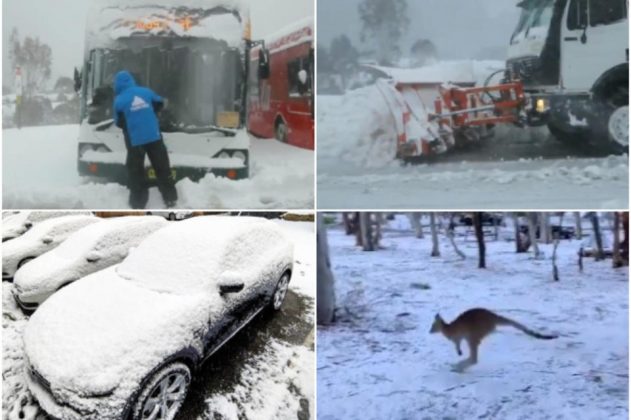 Европа се пржи, a Австралија под снег