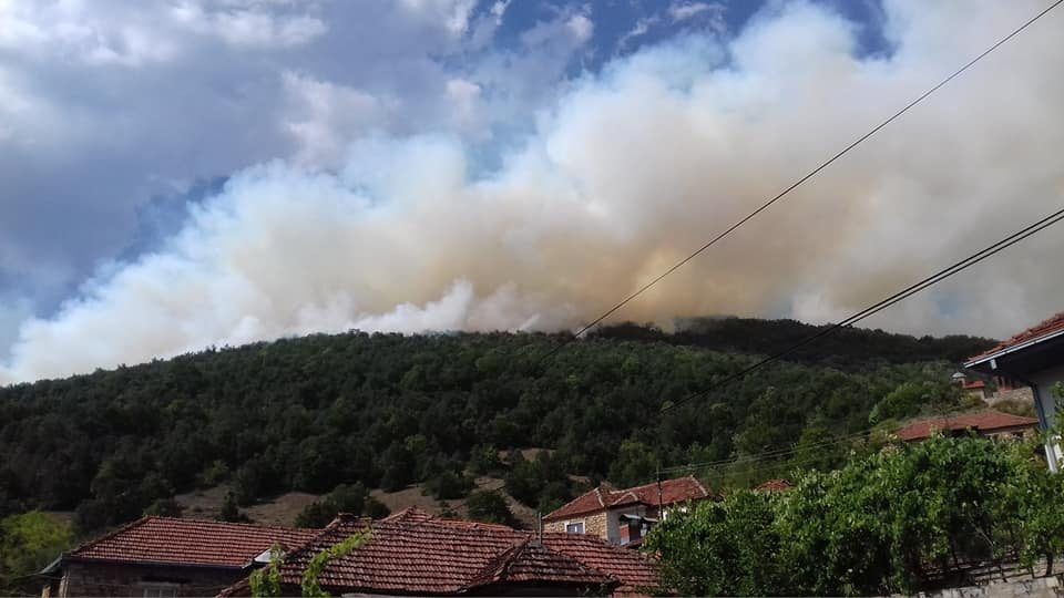 Во Велмеј камбаната бие за помош! Пожарот се доближува до првите куќи во селото