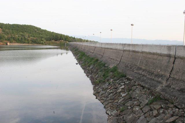 Притворен е серискиот убиец од Струмица