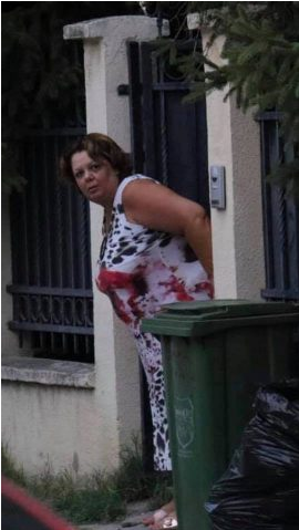 Судијата Седат Реџепагиќ решава дали Јанева ќе преспива во Козле или во Шутка