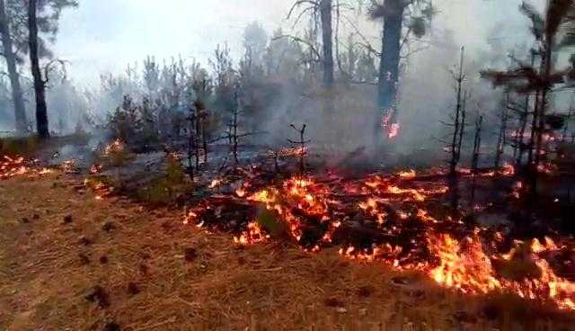 Пожар на депонијата Русино, гаснењето е отежнато