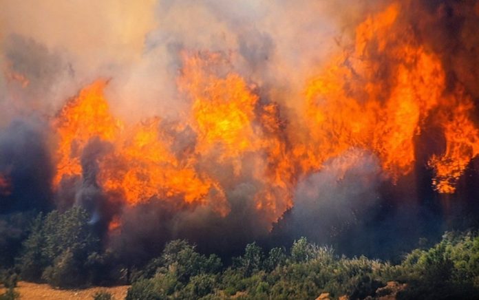 Страшно видео од пожарот во Велес