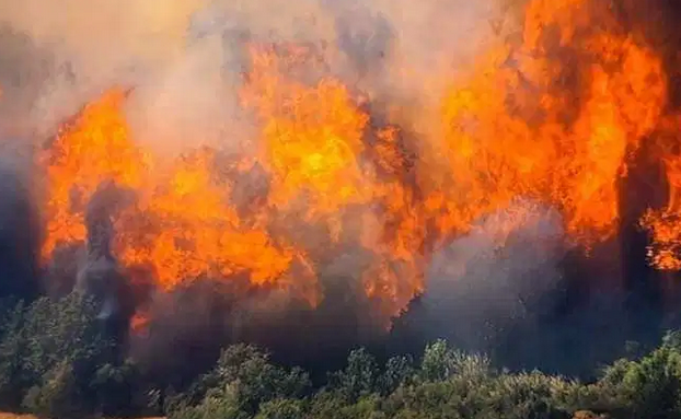 Пожари во кумановските села Агино село-Брзак и скопско Дељадровци