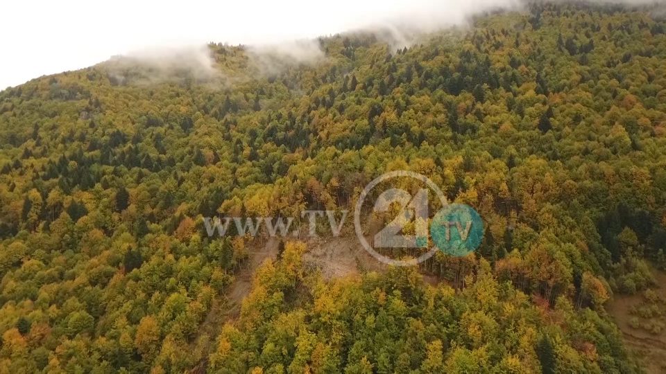 Дел од Шар Планина соголен од неконтролирана сеча