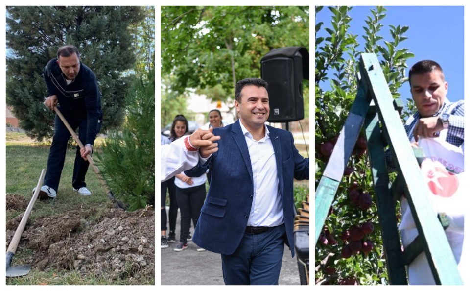 Заев игра оро, Спасовски сади дрвца, Николовски бере јаболка – мириса на избори