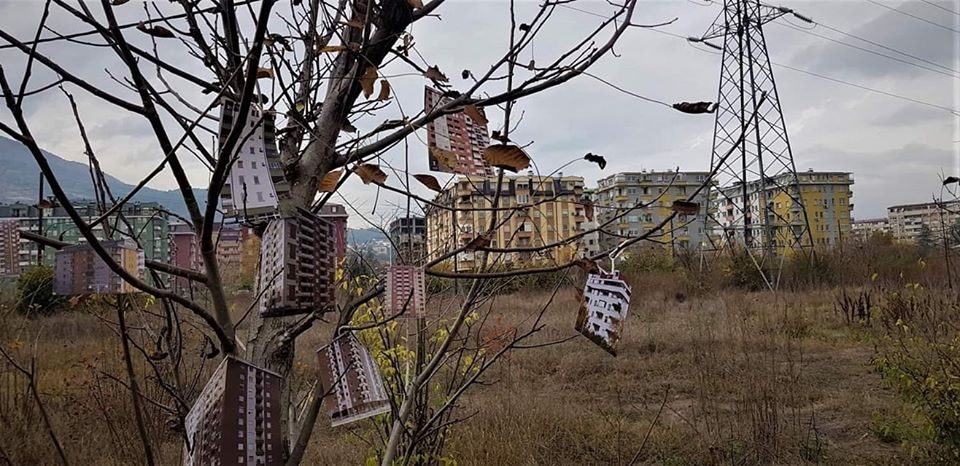 На дрвјата во Расадник никнаа згради