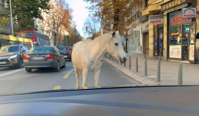 Неподнослива леснотија на живеење