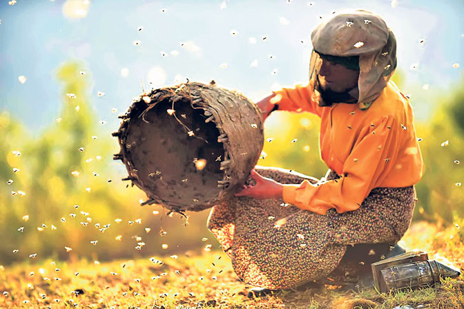 Идентитетот бетон: За Србите „Медена земја“ е северномакедонски документарен филм