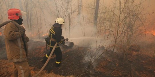 Дождот може да спречи нова нуклеарна катастрофа во Чернобил