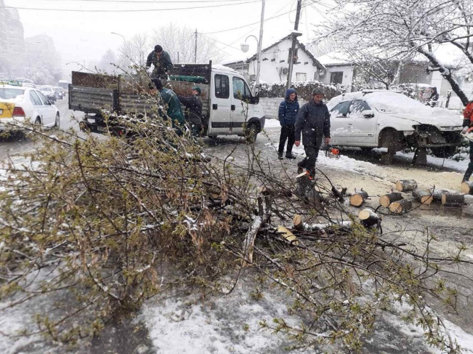 Снегот бутна 22 дрвја во Скопје