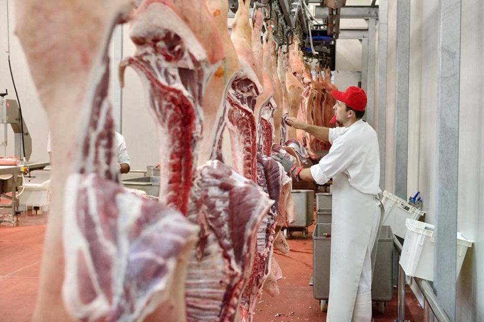Препораки за однесување на вработените во производните капацитети за прехранбени производи и кланици