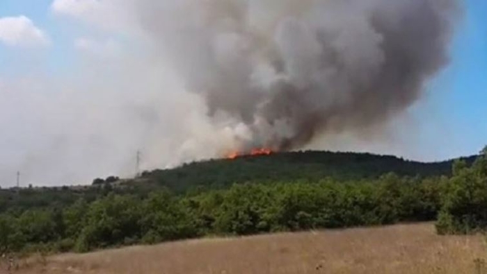 Активен пожар над гевгелиското село Моин