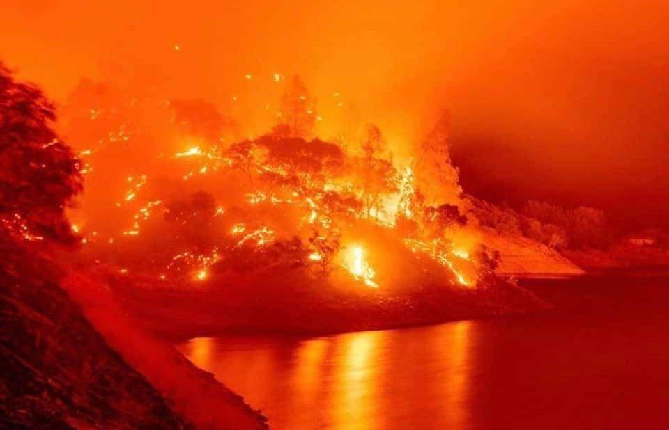 Калифорнија во пламен: 650 пожари за една недела, седум жртви, 250.000 евакуирани