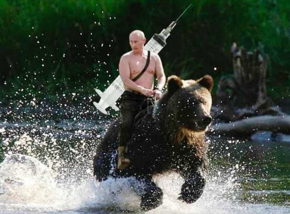 Путин јавнат на мечка ја носи вакцината што ќе го спаси светот