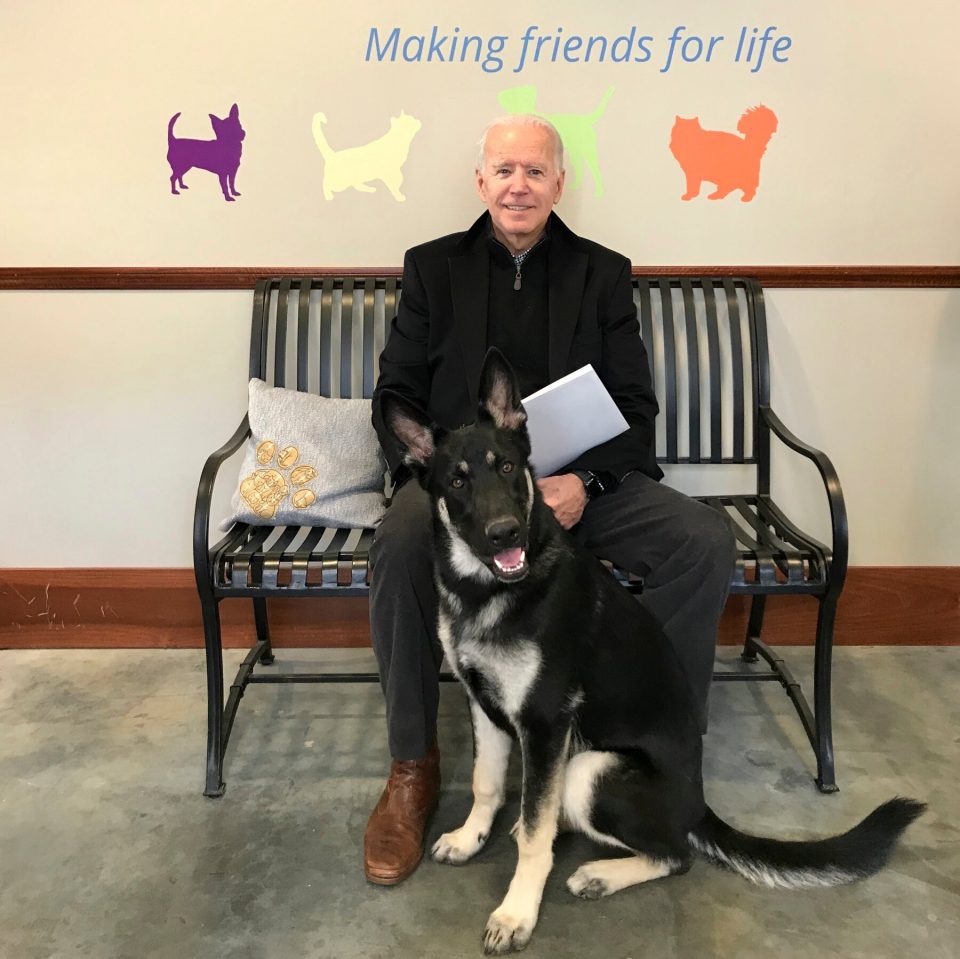 Џо Бајден го скршил стапалото играјќи си со кучето