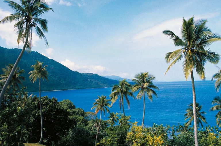 Попушти пред налетот на пандемијата: Прв случај на корона вирус во Вануату