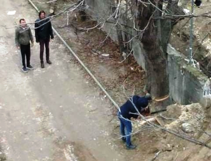 Mисијата на секој скопски градоначалник е дрво да не останe во Скопје: Денес во Ѓорче пепел се прави