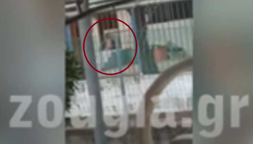 Исфрлено надвор на студот: Брутална казна за 4-годишно девојче во градинка на Халкидики