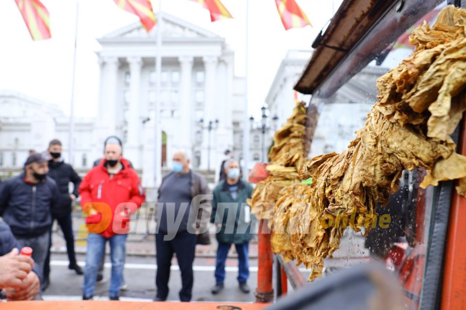 Тутунарите немаат ни за леб, а власта мува не ја лази