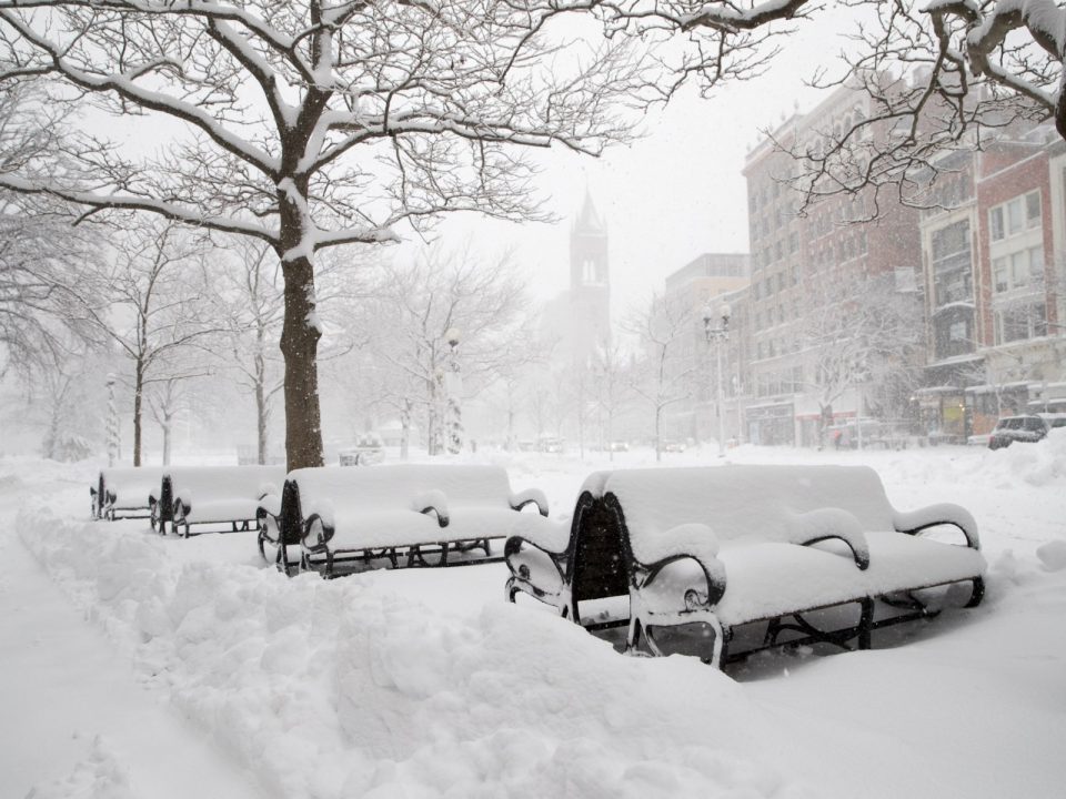 Америка окована во снег и мраз