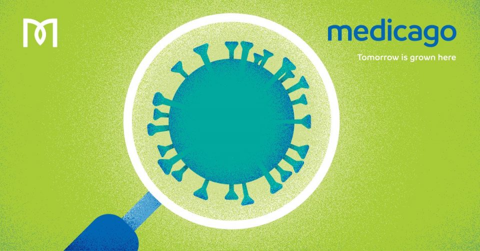 Канадската компанија „Медикаго“ почна со тестирање на експериментална вакцина