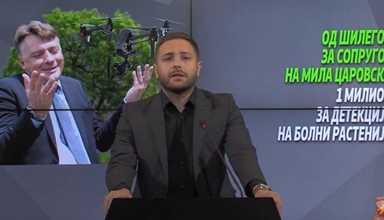 Нема дрон што открива болни растенија, ниту Град Скопје има стручна служба што би испитувала примероци