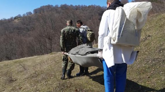 ЦУК почна да истажува каде е пропустот во случајот на премрзантиот овчар кој денеска почина