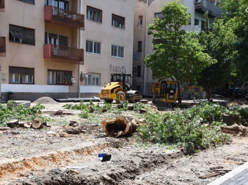 Исечените дрва на Орце Николов биле стари, вели Богдановиќ