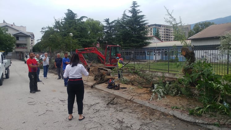 Зелениот појас во Тавталиџе 2, дел од училишниот двор на „Братство“, оди крубан