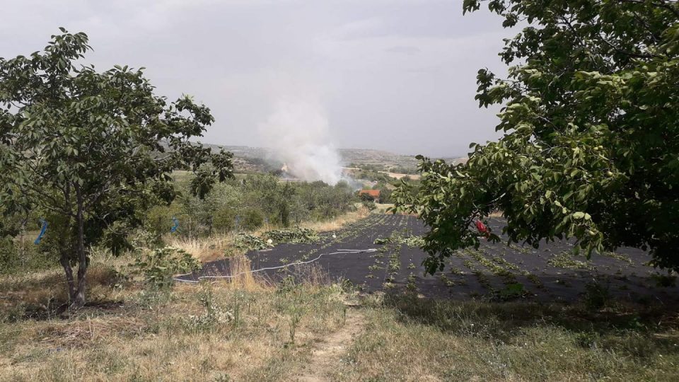 Горат лозја на скопска винарија, ветрот ги носи пламените кон Скопје